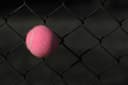 🎾 Tennis Equipment