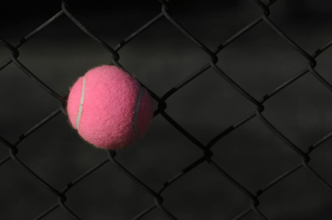 🎾 Tennis Equipment