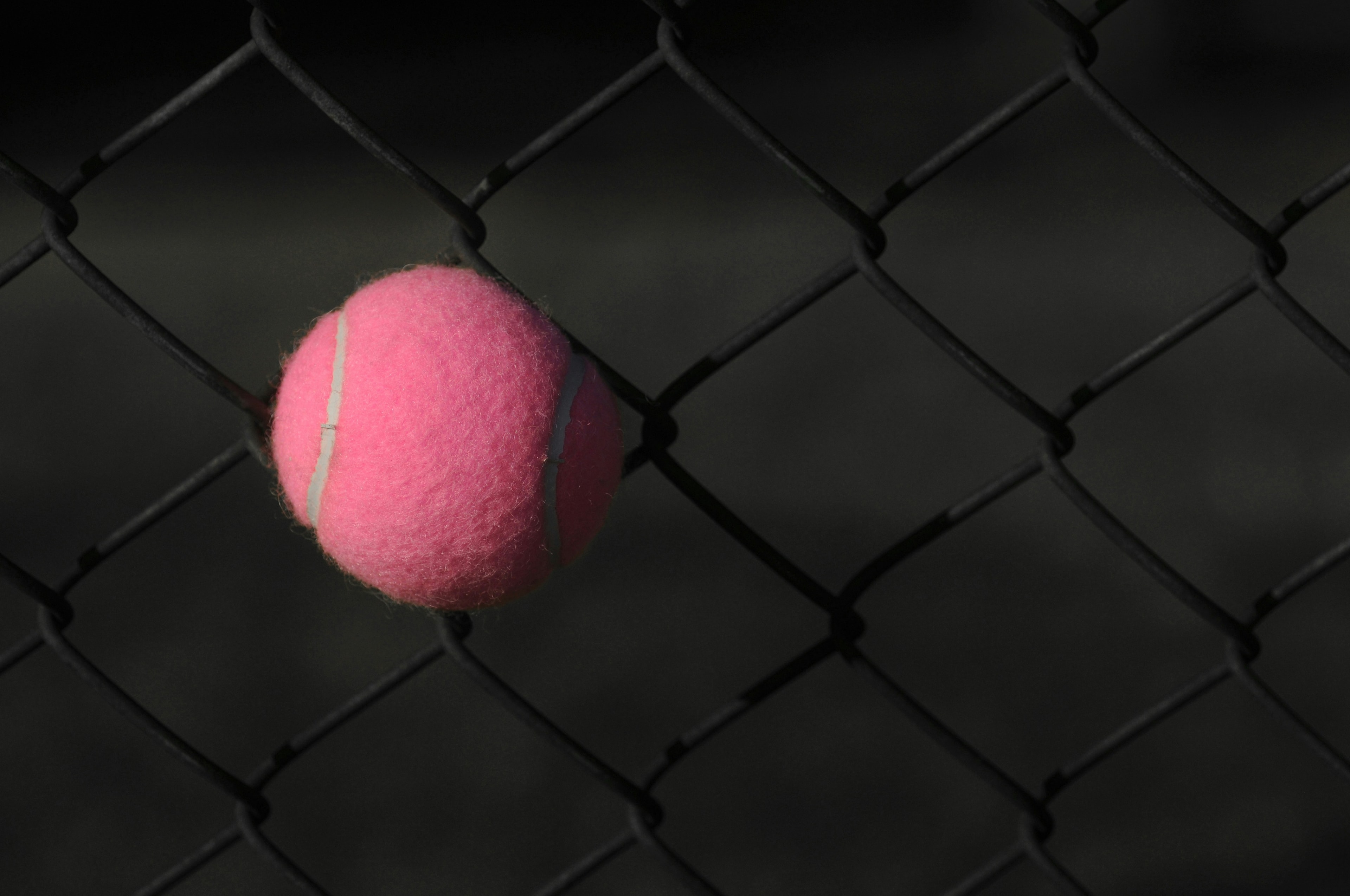 🎾 Tennis Equipment